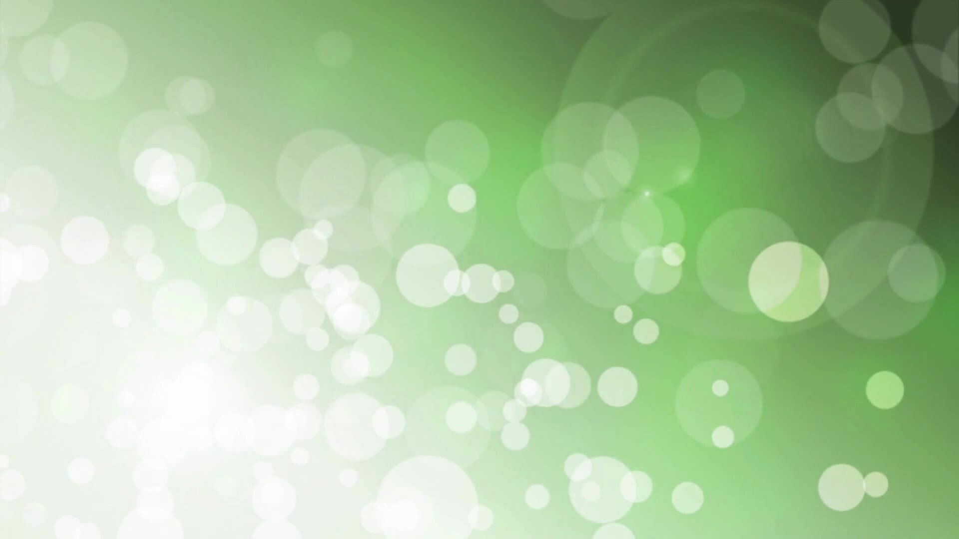 Green Background Wedding Stock Video Footage for Free Download
