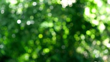 Animé vert bokeh video