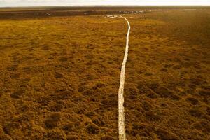 An aerial view of an autumn bog in Yelnya, Belarus, autumn. Ecosystems ecological problems climate change photo