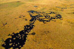 An aerial view of an autumn bog in Yelnya, Belarus, autumn. Ecosystems ecological problems climate change photo