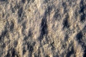 winter background. The texture of snow. Dirty snow photo