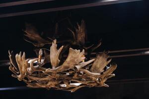 A chandelier made of deer antlers hanging on the ceiling of the interior photo