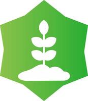 Plant Creative Icon Design vector