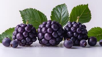 AI generated View of Delicious fresh Fruit Elderberry on a white background photo