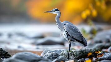 AI generated View of a Beautiful Heron Bird photo