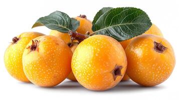 AI generated View of Delicious fresh Fruit Loquat on a white background photo