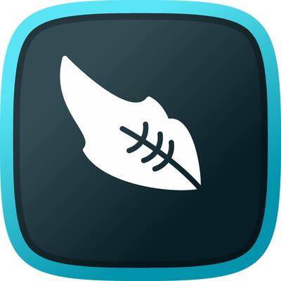 Feather Creative Icon Design