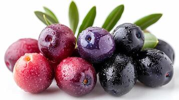 AI generated View of Delicious fresh Fruit Olive, Elderberry on a white background photo