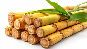 AI generated View of Delicious fresh Fruit Sugarcane on a white background photo