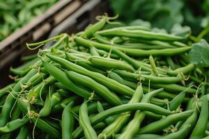 AI generated Heap of freshly picked green beans. Harvesting, autumn. photo