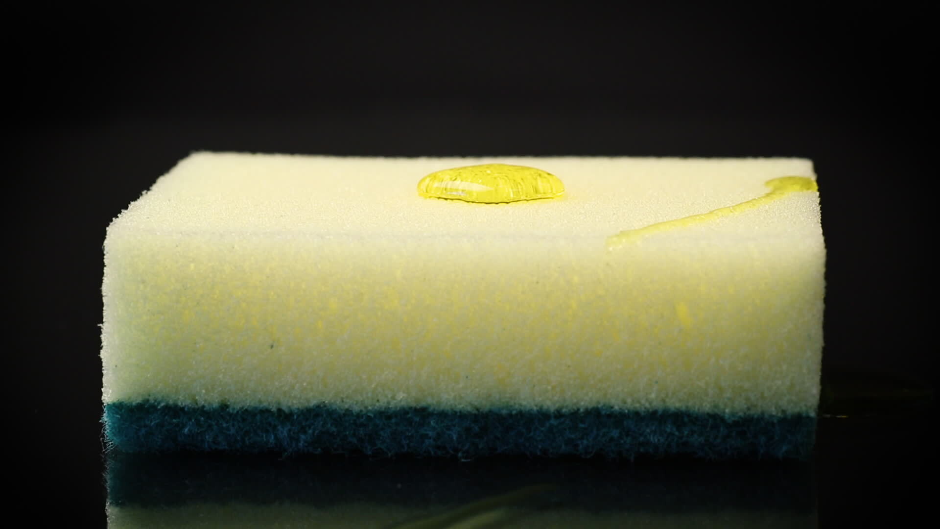 Sponge Stock Video Footage for Free Download