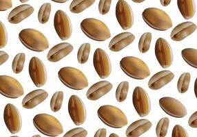 Brown bean peanuts vector illustration with isolated on white background for background design.