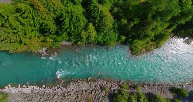 superiore giù Visualizza di veloce in movimento fiume circondato di pino foresta. Canada video