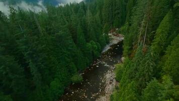 Flight over a mountain river. Shot on FPV drone. British Columbia, Canada. video