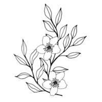 vector composition with flower, leaves and branch. Elegant art for decoration. ink hand drawing monochrome botanical illustration for backgrounds. Template for wedding cards, polygraph, logo, tattoo.