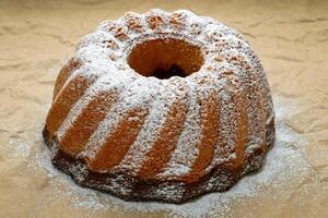 Home made freshly baked whole marble cake covered with powdered sugar on paper. photo