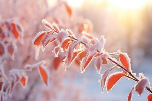 AI generated Frozen Forsythia with red leaves The first frosts, frost and hoarfrost. Early winter. photo