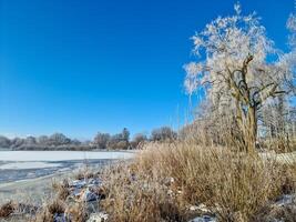 A snow covered frozen lake with icy reeds in the sunshine in the very north of Germany. photo