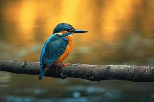 AI generated Kingfisher on the branch. photo