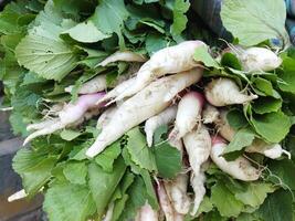 a bunch of radishes in a basket photo