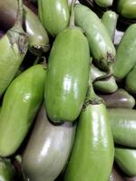 green eggplant in the market photo