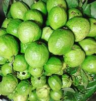 un grande pila de verde guayaba Fruta foto