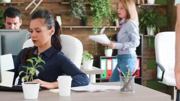 Ambitious young business woman typing on her computer. Middle age manager female in the background. video