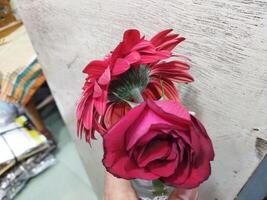 a person holding a red flower in their hand photo