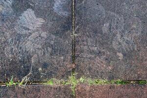 Concrete floor with some marks on it. photo