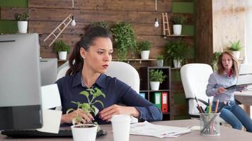 Focused young business woman working hard in a busy office. Coworker leaving the office. video