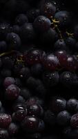 AI generated Fresh grapes seamless texture and full-frame background adorned with glistering water drops, neural network generated image photo