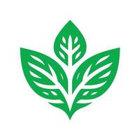 leaf logo vector element, leaf logo vector template, leaf logo illustration