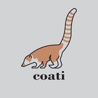 coati logo illustration vector