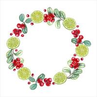 Wreath with lime slices, cowberries. Citrus, red berries, green leaves. Tropical fruit, forest berry vector