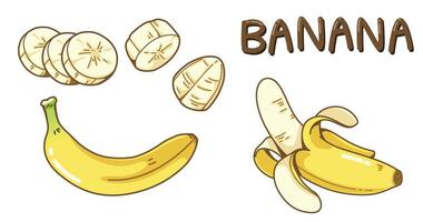 resumen linda plátano dibujos animados vector