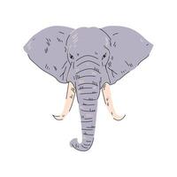 Elephant Head Flat Clip Art vector