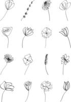 Set of minimal botanical graphic in continuous drawing style isolated on white background vector