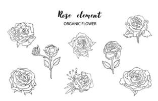 outline rose object element set with leaf.illustration vector for postcard,sticker