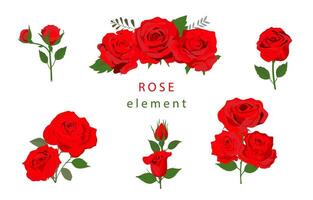 Red rose object with leaf illustration vector for postcard invitation