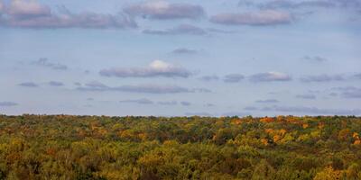 autumn forest tops horizon with sky and clouds panorama photo
