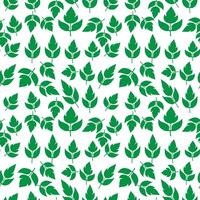hand draw floral seamless pattern of green leaves Spring Blossom Vector Design on a white background