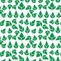 hand draw floral seamless pattern of green leaves Spring Blossom Vector Design on a white background