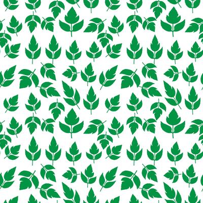 hand draw floral seamless pattern of green leaves Spring Blossom Vector Design on a white background