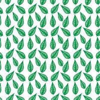 hand draw floral seamless pattern of green leaves Spring Blossom Vector Design on a white background
