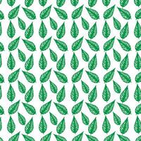 hand draw floral seamless pattern of green leaves Spring Blossom Vector Design on a white background