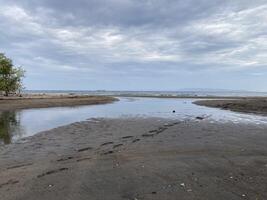 Sandbar is formed at low tide of water waves gently caress warm sand photo