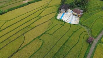 Aerial Views Terrace Fields photo