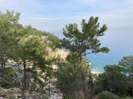 Abandoned scenic old road along the sea and cliffs, view from above from the cliff through the trees photo