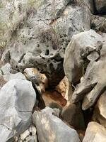 For many years, water has carved a passage in the rock, unusual natural forms photo