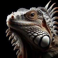 AI generated Iguana isolated on black background. World of reptiles. photo